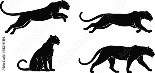 Panther silhouette vector set, black wild cat poses, leaping panther, stalking panther, sitting panther, walking panther, jungle predator clipart, icon