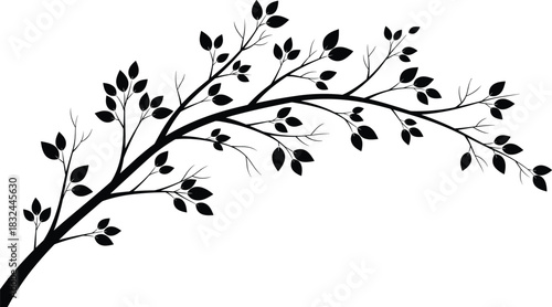 Tree branch silhouette vector, black leaf design, minimal nature artwork, organic shape, botanical element, white background, elegant foliage illustration