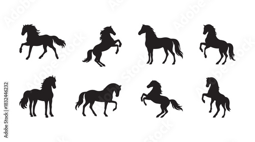 silhouette of majestic horse pose collections