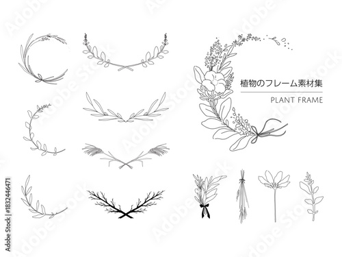 手書きの植物のシンプルなフレームセット