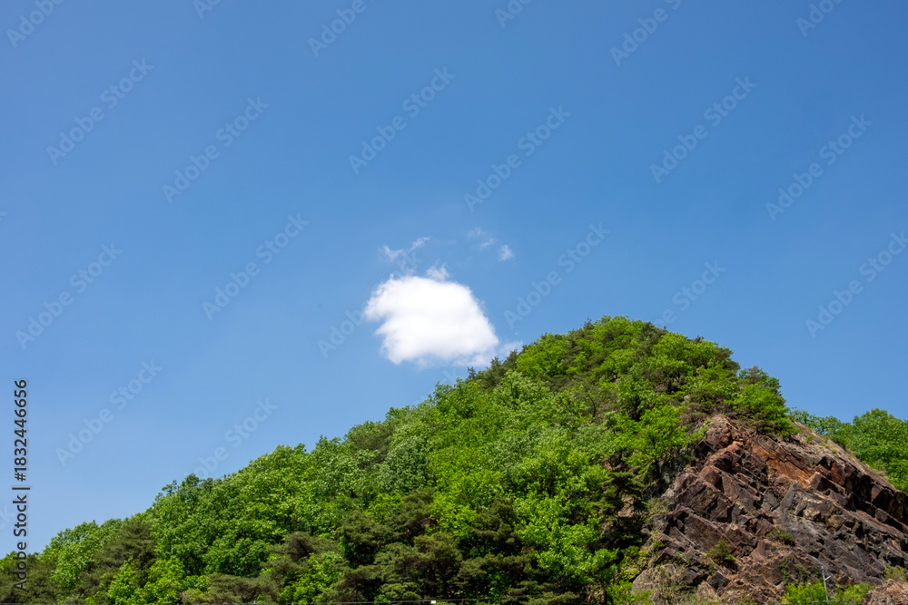 Fototapeta premium blue sky with clouds