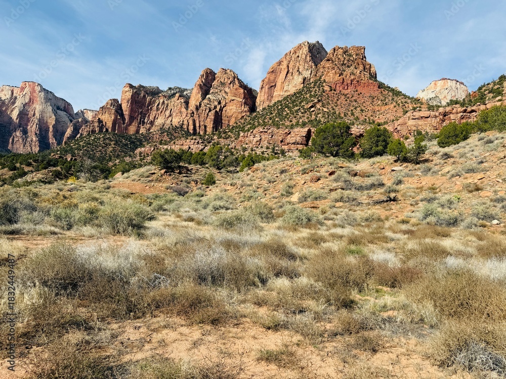 Fototapeta premium Zion National Park in Utah. Human History Museum, shuttle stop 2. Road less traveled and explored. Beautiful landscape, mountain, canyon, valley, trees, grass, desert, sand. Gorgeous parking lot view.
