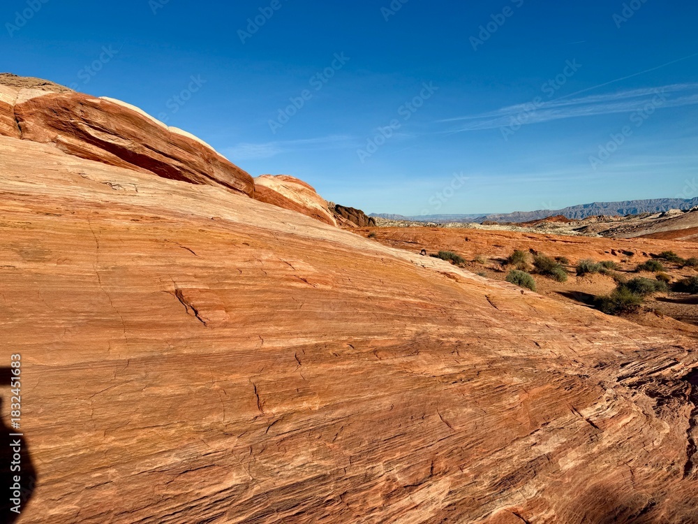 Fototapeta premium Gorgeous Valley of Fire State Park. Overton Nevada. Afternoon in Nov. Red sand and mountain cliffs to explore. Between Las Vegas and Zion. Adventure climbing, hiking, walking, lava, views, camping