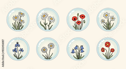 Flowers in glass domes collection, botanical study