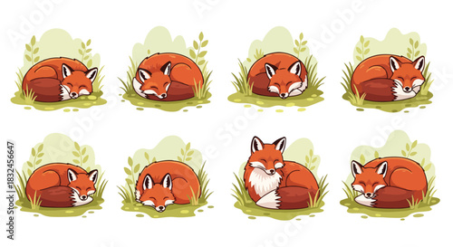 Sleeping foxes in grass, cozy animal scene