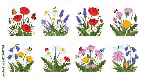 Wildflowers and insects collection with vibrant colors