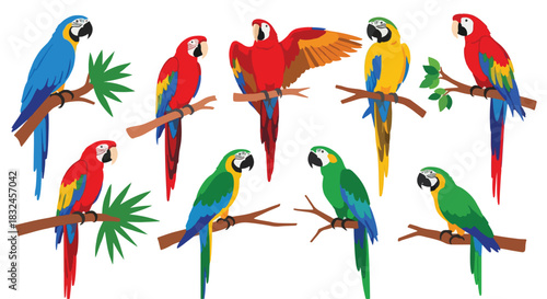 Colorful parrots perched on branches