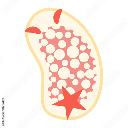 サラサウミウシ