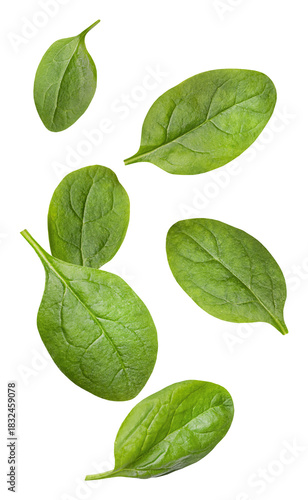 dynamic photograph of several vibrant green spinach leaves floating or falling, captured in various orientations against a stark black backdrop.