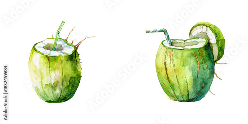 green coconut drink watercolor vector illustration