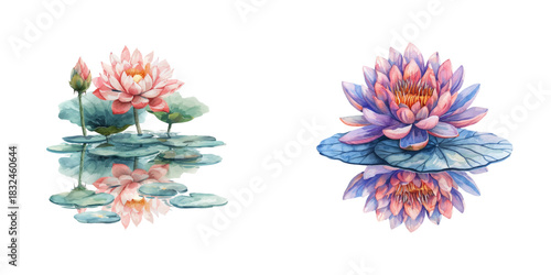 lotus on the water watercolor vector illustration