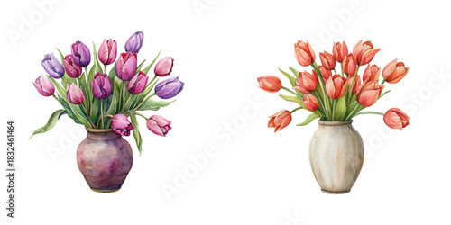 tulips on vase watercolor vector illustration
