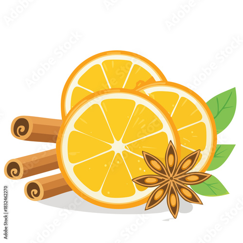 Mulled Wine Ingredients Vector — Orange, Cinnamon and Star Anise