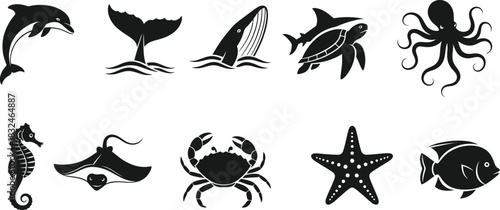 Collection of black and white sea creatures in a graphic style