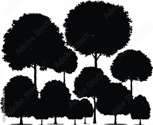 The image features a collection of tree silhouettes in various sizes and shapes, all rendered in black against a clean