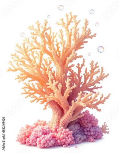Coral reef, soft pastel colors
