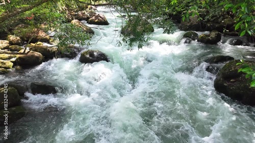 Superb view of summer: Slow motion of the fantastic Moot valley in Phong Nha National Park, Vietnam with the sound of a clear stream flowing through the peaceful tropical jungle
