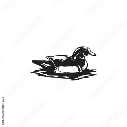 black and white Duck Illustration Monochrome
