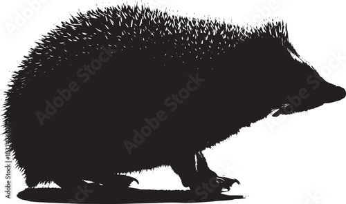 Black and white vector silhouette of a spiky hedgehog standing sideways, showcasing its distinctive profile and texture, isolated on a clean background for graphic design.