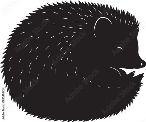Sleeping curled hedgehog silhouette illustration in a minimalist graphic style, isolated wildlife animal vector art perfect for nature and wildlife designs