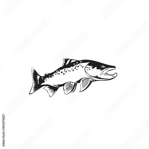 Leaping Fish vector Illustration Monochrome
