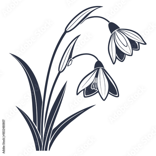 Snowdrop Flower Line Art with Leaves