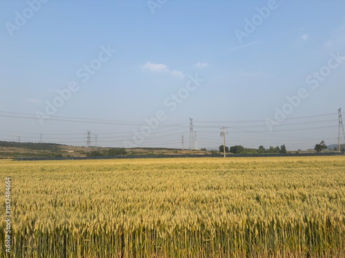Rural scenery in northern China