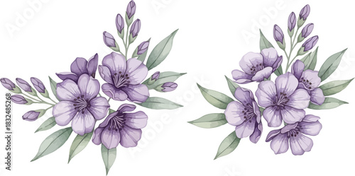 Watercolor purple flowers and green leaves vector illustration, delicate floral design element perfect for elegant invitations, spring decorations, and botanical projects.