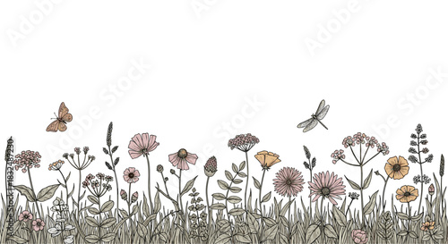 Seamless border of a summer meadow with hand-drawn wildflowers, grasses, a butterfly, and a dragonfly in a vintage colored style.