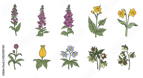 Set of ten colorful hand-drawn poisonous and medicinal wildflowers, including foxglove, daffodil, and hellebore, in vintage style.