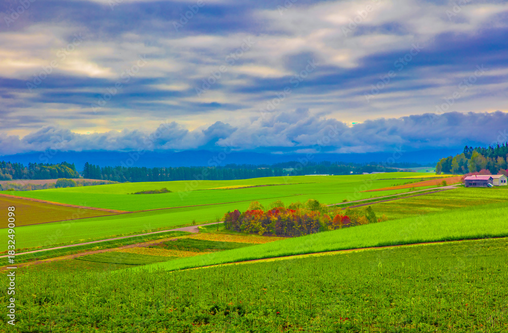 Fototapeta premium 黄昏の原野