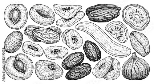 Set of various dried fruits, including dates, apricots, and figs, hand-drawn in a detailed black and white vintage engraving style.