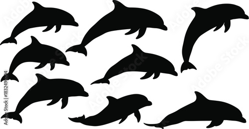 Dynamic dolphin silhouette collection featuring playful marine mammal shapes, swimming ocean wildlife illustrations, elegant aquatic vector elements for nature themes, sea life artwork designs