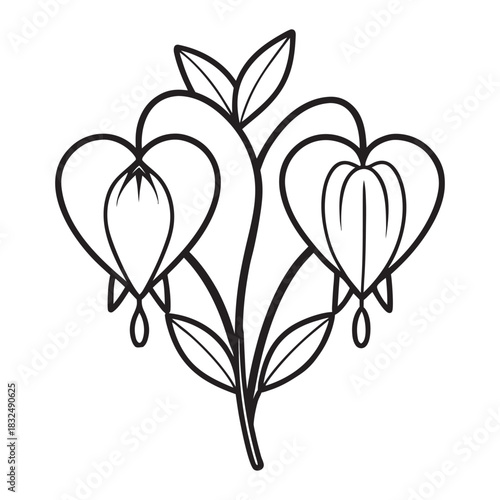 Bleeding heart flower line art vector illustration in modern style