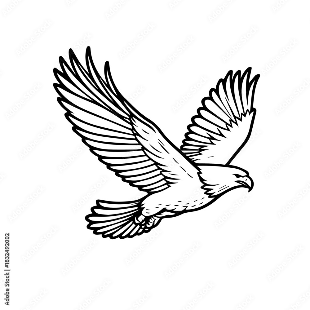 Obraz premium eagle in flight