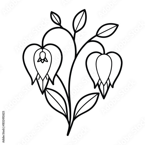 Bleeding heart flower outline drawing botanical art isolated on white