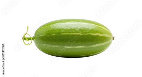 A single fresh green pointed gourd, also known as parwal or patol, a popular healthy vegetable, isolated on transparent background