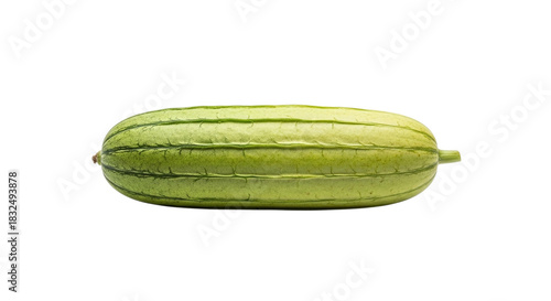 Fresh green ridge gourd, a popular asian vegetable, known for its unique texture and mild flavor, often used in various culinary dishes, isolated on transparent background