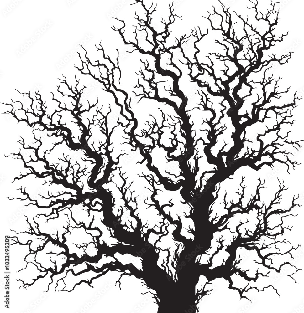 Obraz premium tree with roots