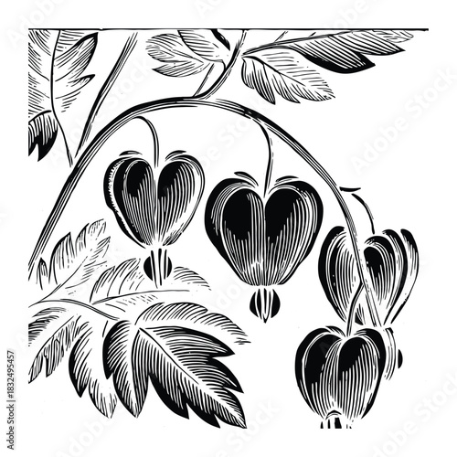 Bleeding heart flower floral decorative vector for invitation design