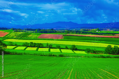 田園風景