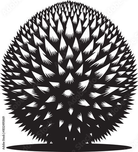black and white mandala