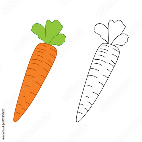 Cartoon Carrot Vegetable Icon Set. Colored and Outline Vector