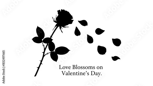 A black silhouette of a rose with petals falling, accompanied by the text 'Love Blossoms on Valentine's Day', symbolizing romance and affection.