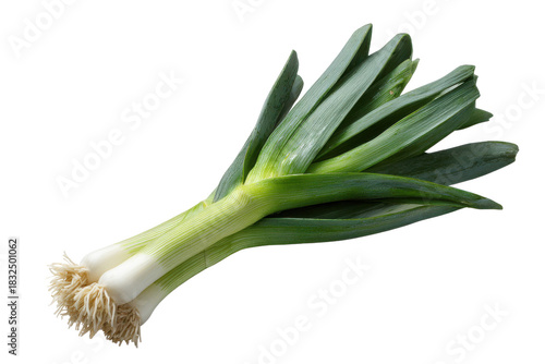 Two fresh green leeks with white bulbs and roots on black background vegetable food