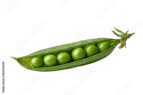 Single green pea pod with six round peas inside on black background vegetable