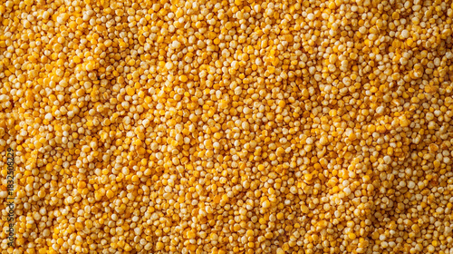 bright yellow raw millet grains forming an organic cereal background with rich natural texture, creating a healthy food concept with warm color and rustic detail