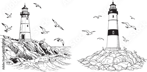 lighthouses on rocky shores with seagulls in black and white drawing