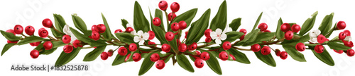 A series of mistletoe leaves and red berries. Vector design illustration for decoration.