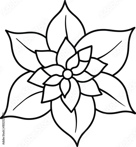 Poinsettia flower simple outline graphic vector